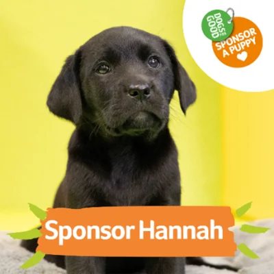 We Sponsor ‘Dogs for Good’